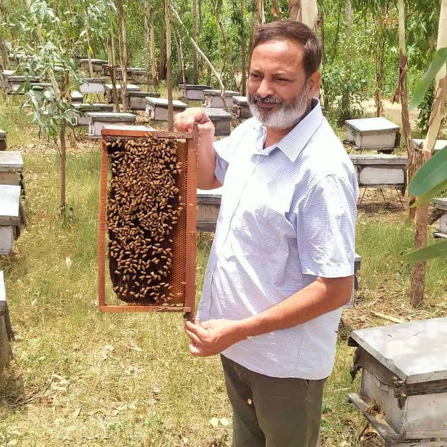Mukesh Pathak holding honeycomb frame in apiary with beehives, natural outdoor setting.